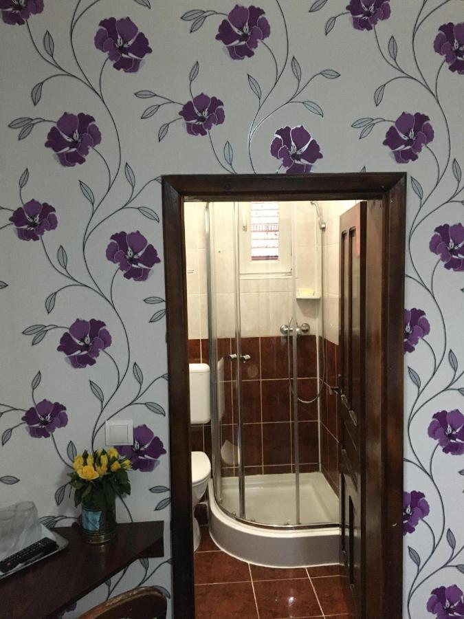 Pension La Viorel Isaila Сибиу Экстерьер фото
